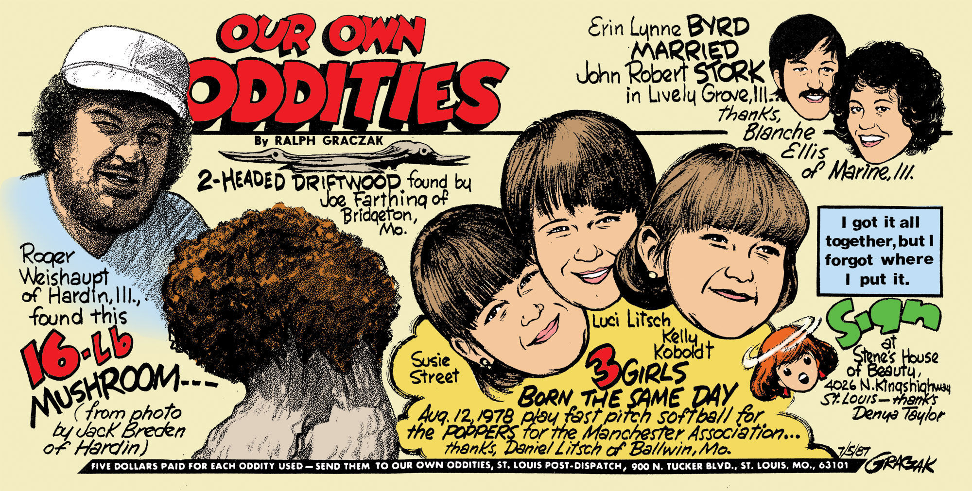 Our Own Oddities